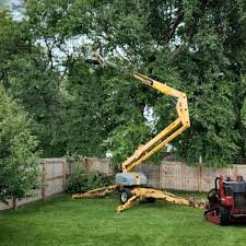 Best Seasonal Cleanup (Spring/Fall)  in Winchester, NV